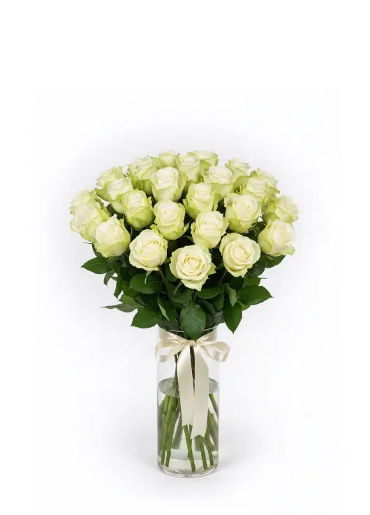 25 white roses in beautiful packaging
