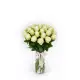 25 white roses in beautiful packaging