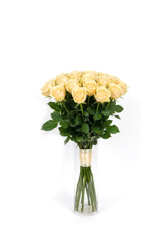 25-rose bouquet: peach roses “Peach Avalanche”