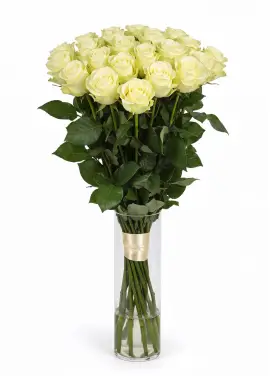 25-rose bouquet: long-stem imported white roses “Mondial”