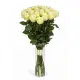 25-rose bouquet: long-stem imported white roses “Mondial”
