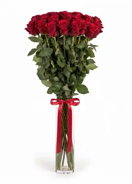 25-rose bouquet: long-stem red roses “Explorer”