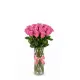 25-rose bouquet: pink roses “Miss Piggy”