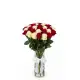 25-rose red & white mixed bouquet