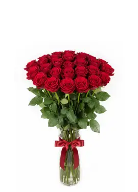 Cool bouquet of 25 red roses