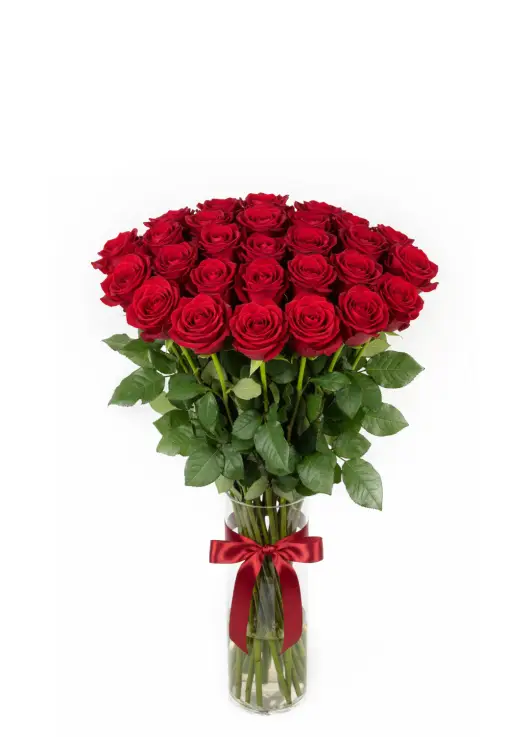 Cool bouquet of 25 red roses