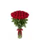 Cool bouquet of 25 red roses