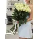 25-rose bouquet: long-stem imported white roses “Mondial”