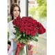 25 Holland roses