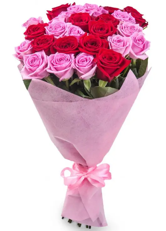 Bouquet of 25 roses "Florence" Bouquet of 25 roses "Florence"