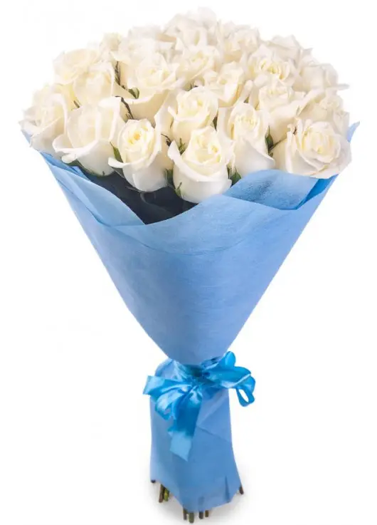 Bouquet of 25 roses "Florence" Bouquet of 25 roses "Florence"