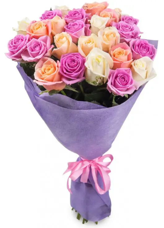Bouquet of 25 roses "Florence" Bouquet of 25 roses "Florence"