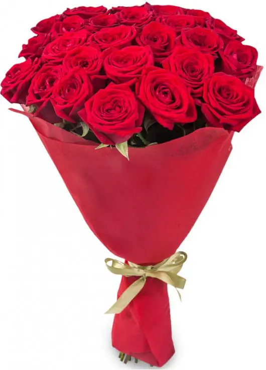 Bouquet of 25 roses "Florence" Bouquet of 25 roses "Florence"