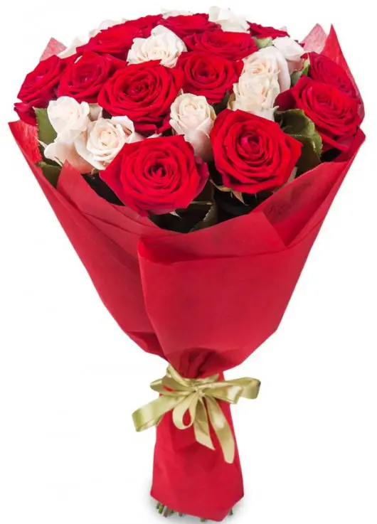Bouquet of 25 roses "Florence" Bouquet of 25 roses "Florence"