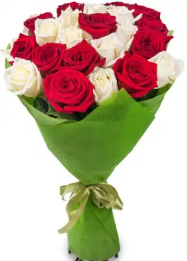 Bouquet of 25 roses "Florence"