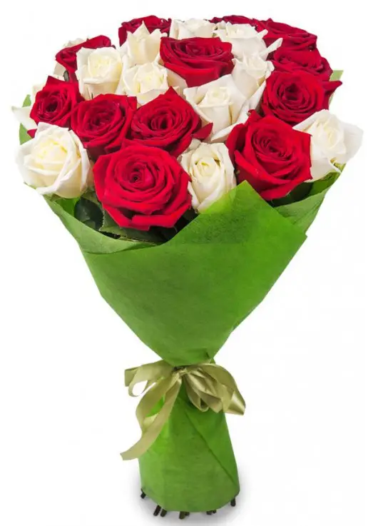 Bouquet of 25 roses "Florence" Bouquet of 25 roses "Florence"