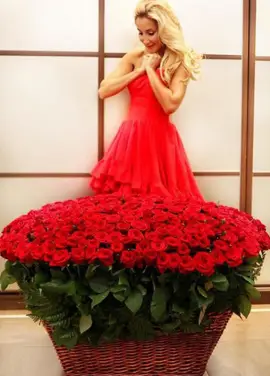 555 red roses