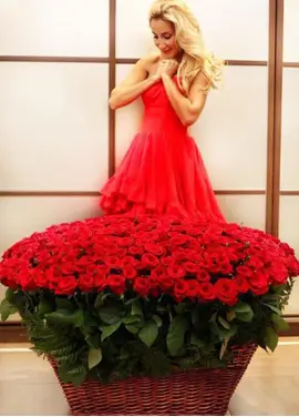 555 red roses