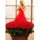 555 red roses