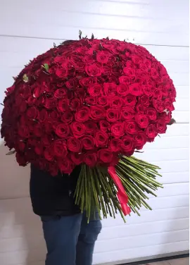 333 red roses