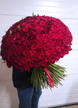 333 red roses