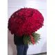 333 red roses