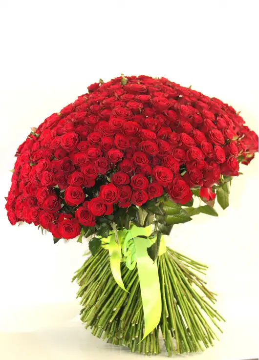 333 red roses