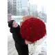 333 red roses