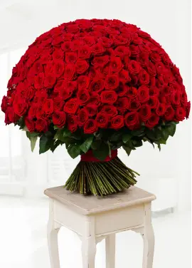 555 red roses