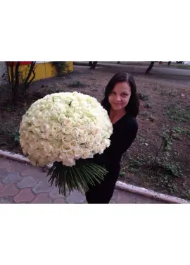 201 white roses