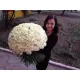 201 white roses