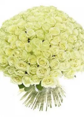 201 white roses