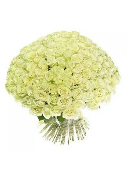 201 white roses