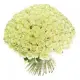 201 white roses