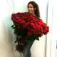 201 red roses