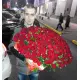 201 red roses