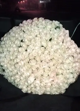 301 white roses