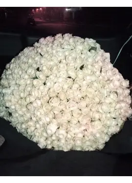 301 white roses