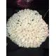 301 white roses 301 white roses