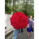 333 red roses