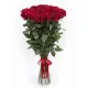 35-rose bouquet: tall red roses “Freedom”