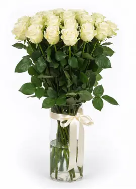 35-rose bouquet: long-stem imported white roses “Mondial”