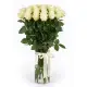 35-rose bouquet: long-stem imported white roses “Mondial”
