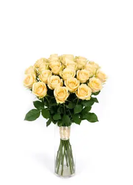 35-rose bouquet: cream roses “Talea”