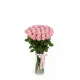 35-rose bouquet: pink roses “Jumilia”