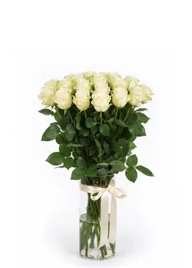 35 white roses in beautiful packaging