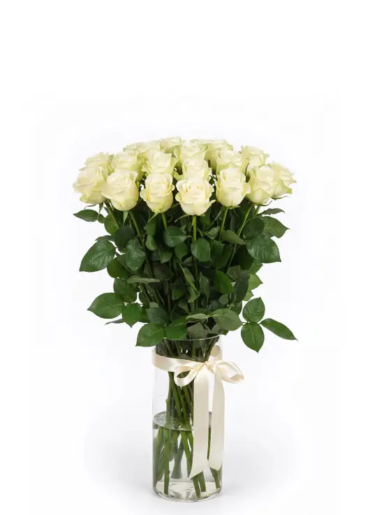 35 white roses in beautiful packaging