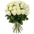 35 roses