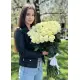 45-rose bouquet: long-stem imported white roses “Mondial”