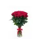 45-rose bouquet: red roses “Prestige”